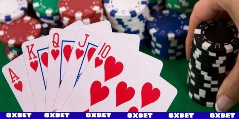 Toàn bộ kiến thức cơ bản Trác Kim Hoa 8XBET